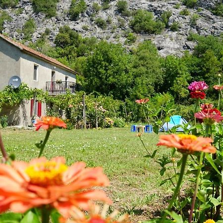 Camp Podkraj Hotel Virpazar Exterior foto